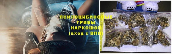 ГАЛЛЮЦИНОГЕННЫЕ ГРИБЫ Верея