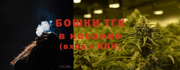ГАЛЛЮЦИНОГЕННЫЕ ГРИБЫ Верея