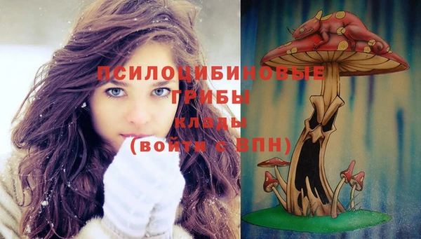 тгк Волосово