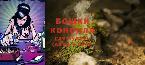 ГАЛЛЮЦИНОГЕННЫЕ ГРИБЫ Верея