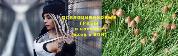 ГАЛЛЮЦИНОГЕННЫЕ ГРИБЫ Верея