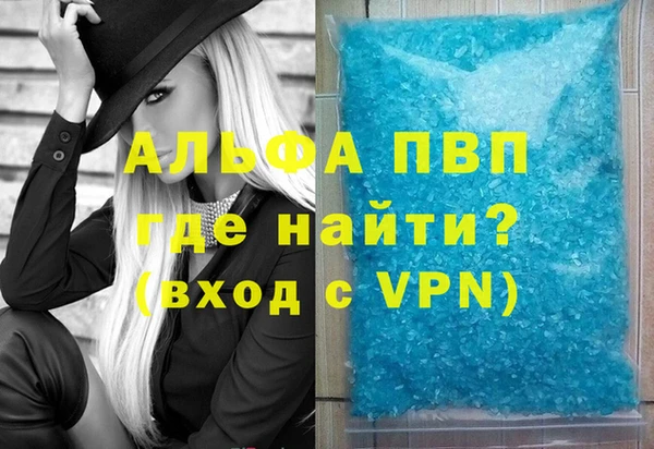 ГАЛЛЮЦИНОГЕННЫЕ ГРИБЫ Верея